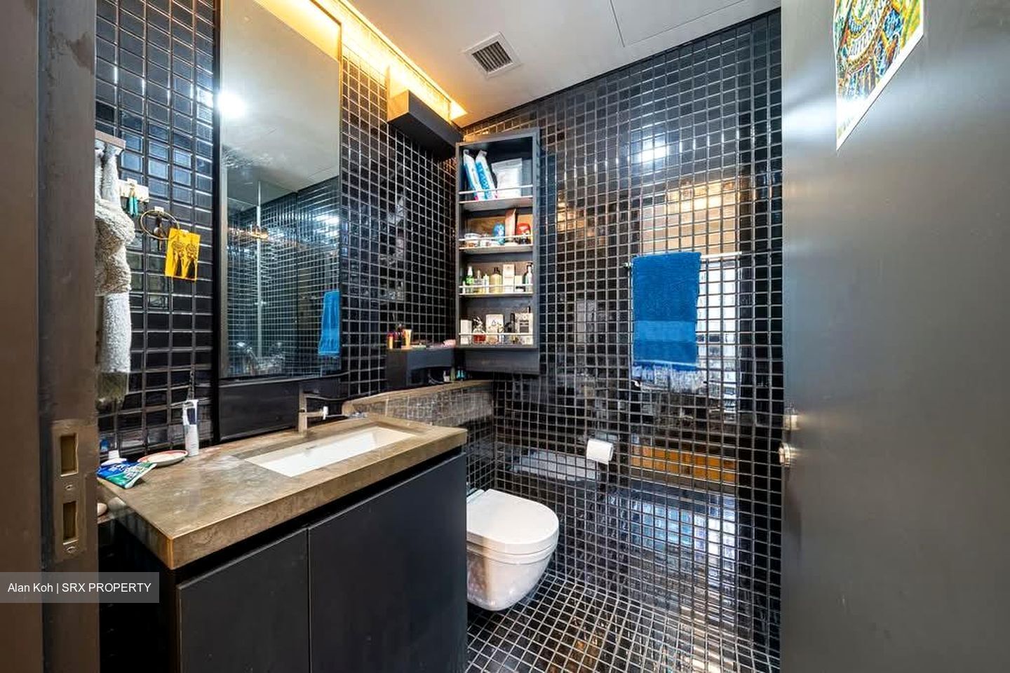 Skysuites@Anson (D2), Apartment #575383841